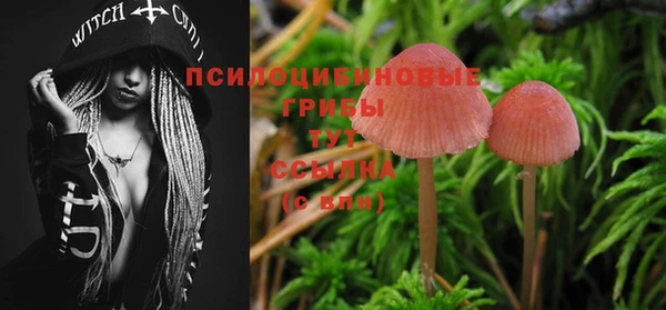 первитин Абдулино
