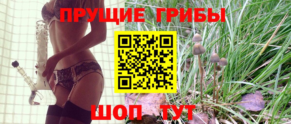 Галлюциногенные грибы Psilocybe  Вход с VPN  Сокол  Псилоцибиновые грибы Magic Shrooms 